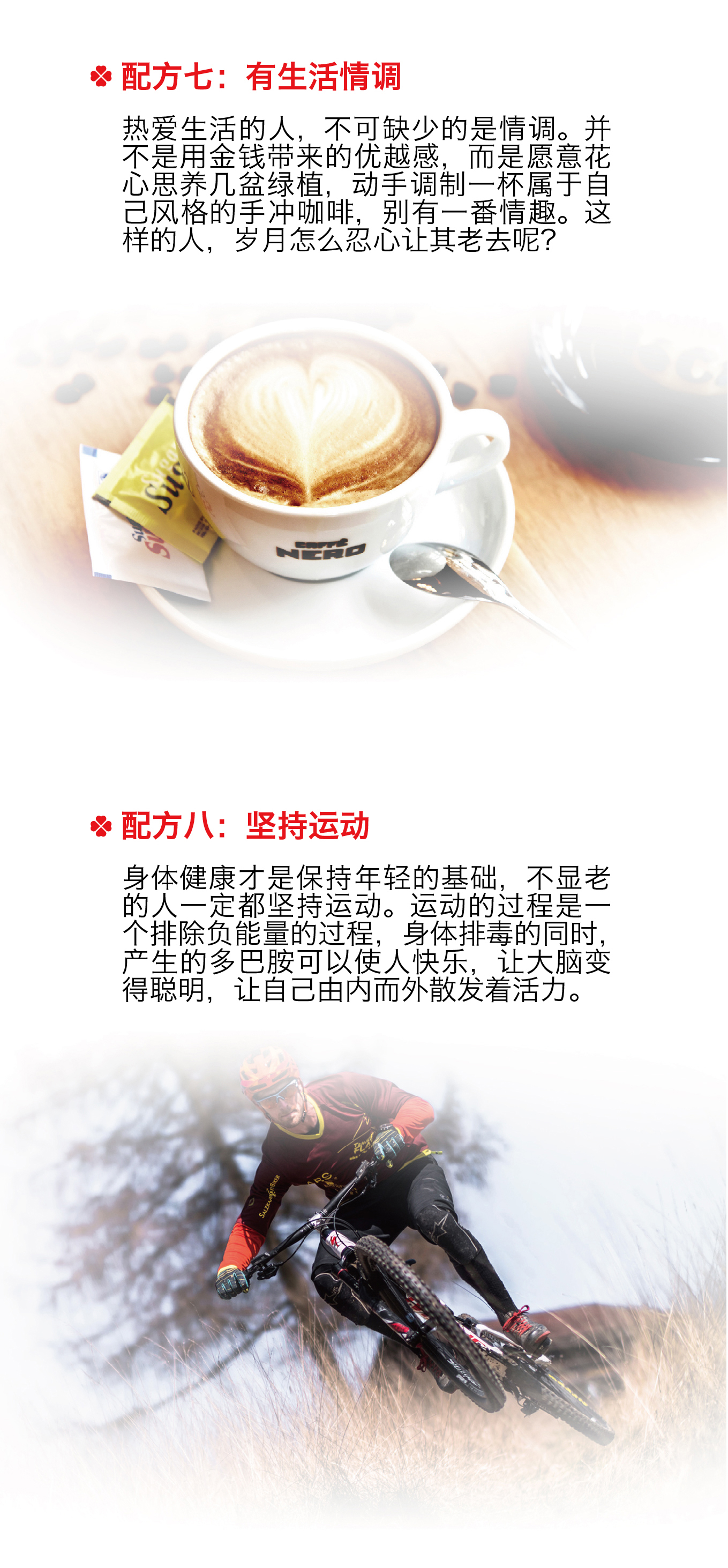 1531202398602235.jpg 青春有配方-01 拷貝04.jpg