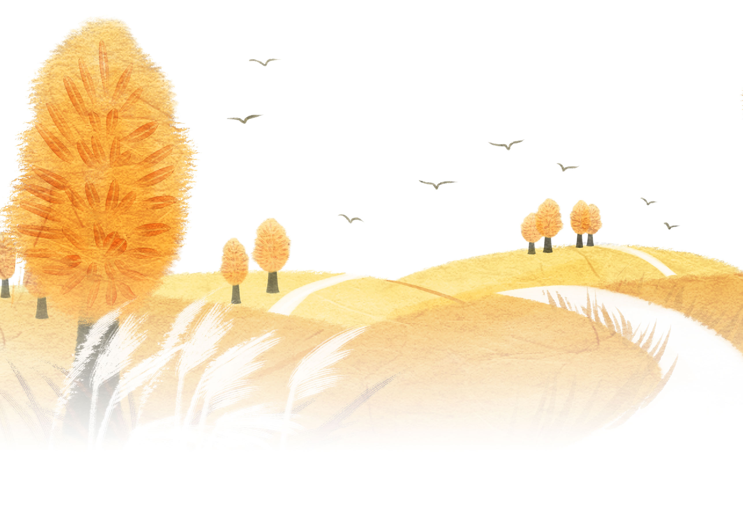 1546047600266116.jpg 20171208-04.jpg