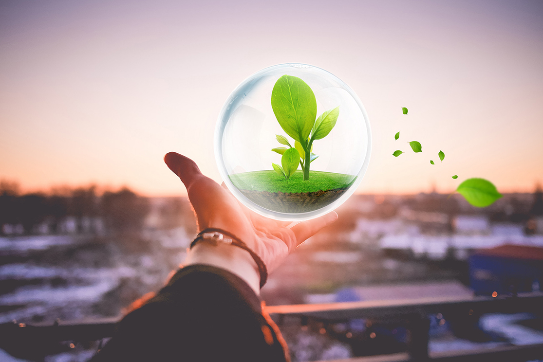 1546047708308907.jpg 500390820_banner.jpg